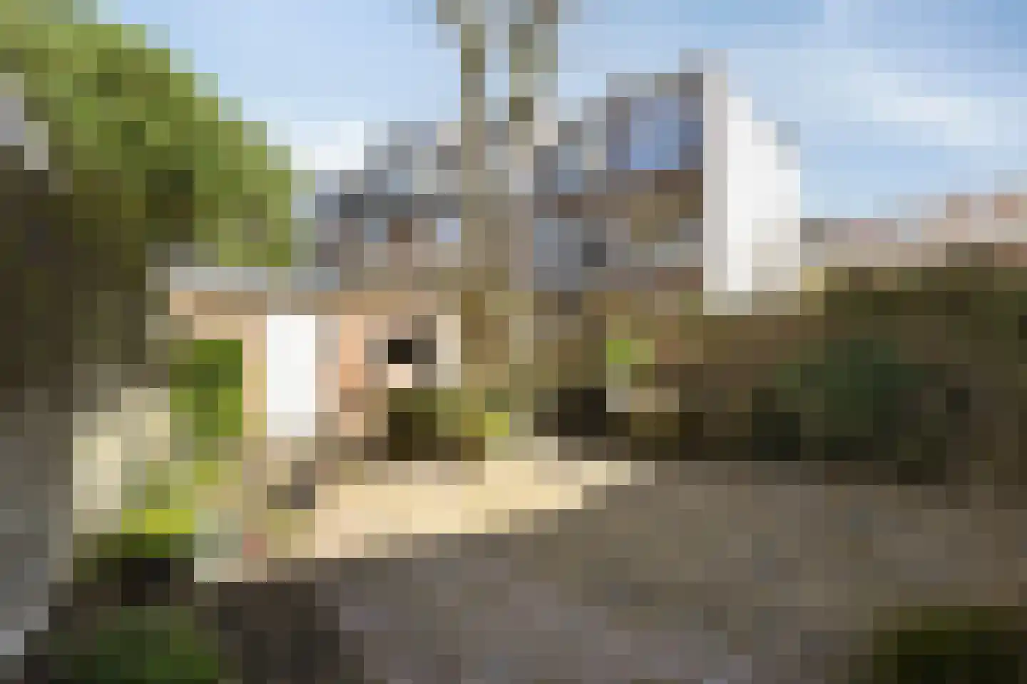 Statenlaan 109 Den Haag thumbnail 18