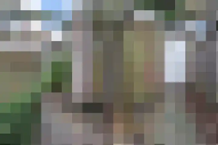 Statenlaan 109 Den Haag thumbnail 23