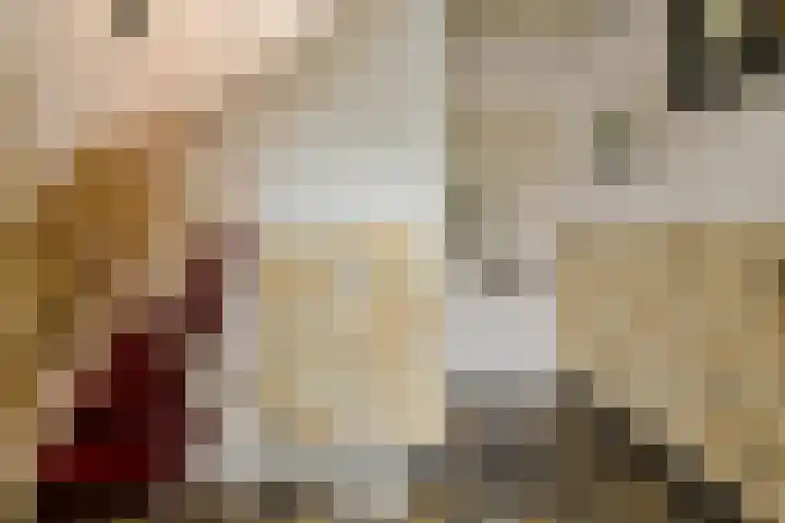 Statenlaan 12 Oosterhout thumbnail 15