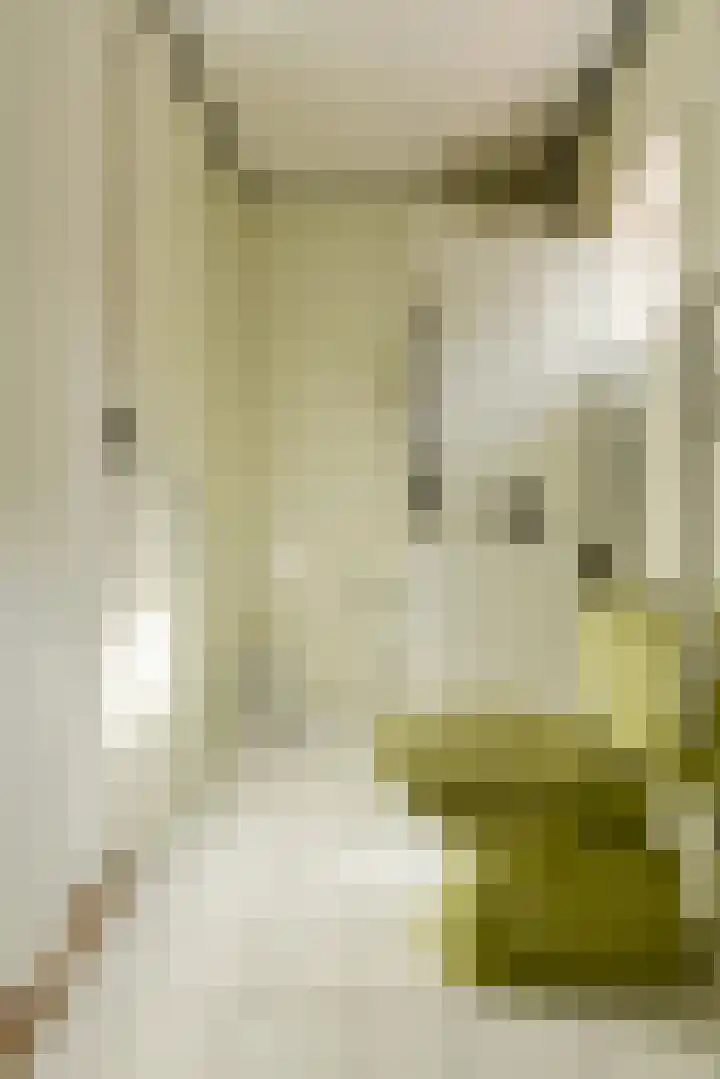 Statenlaan 12 Oosterhout thumbnail 20