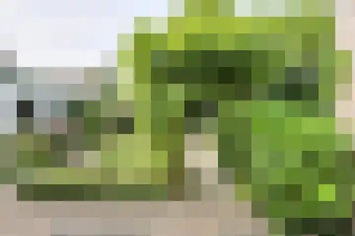 Statenlaan 12 Oosterhout thumbnail 30