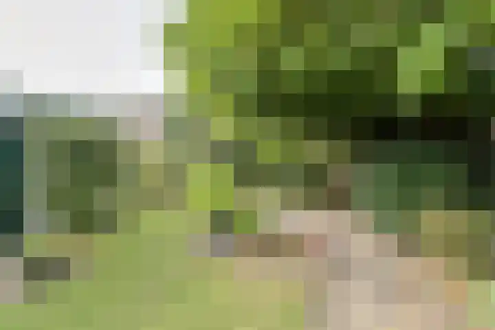 Statenlaan 12 Oosterhout thumbnail 31
