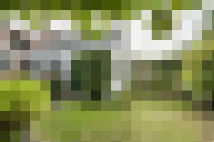 Statenlaan 12 Oosterhout thumbnail 32