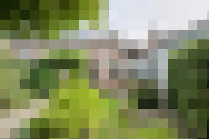 Statenlaan 12 Oosterhout thumbnail 33