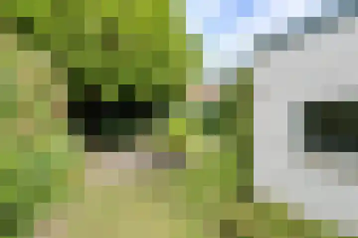 Statenlaan 12 Oosterhout thumbnail 34