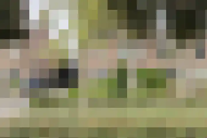 Statenlaan 12 Oosterhout thumbnail 36