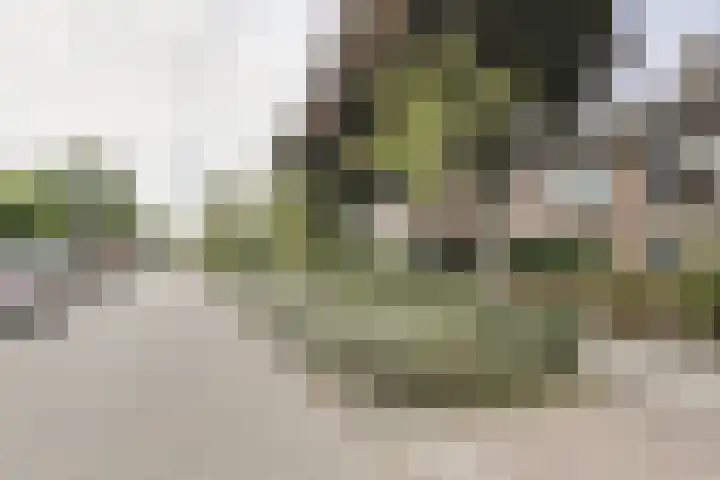 Statenlaan 12 Oosterhout thumbnail 38