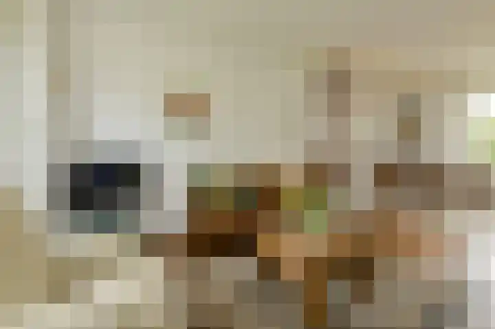 Statenlaan 12 Oosterhout thumbnail 4