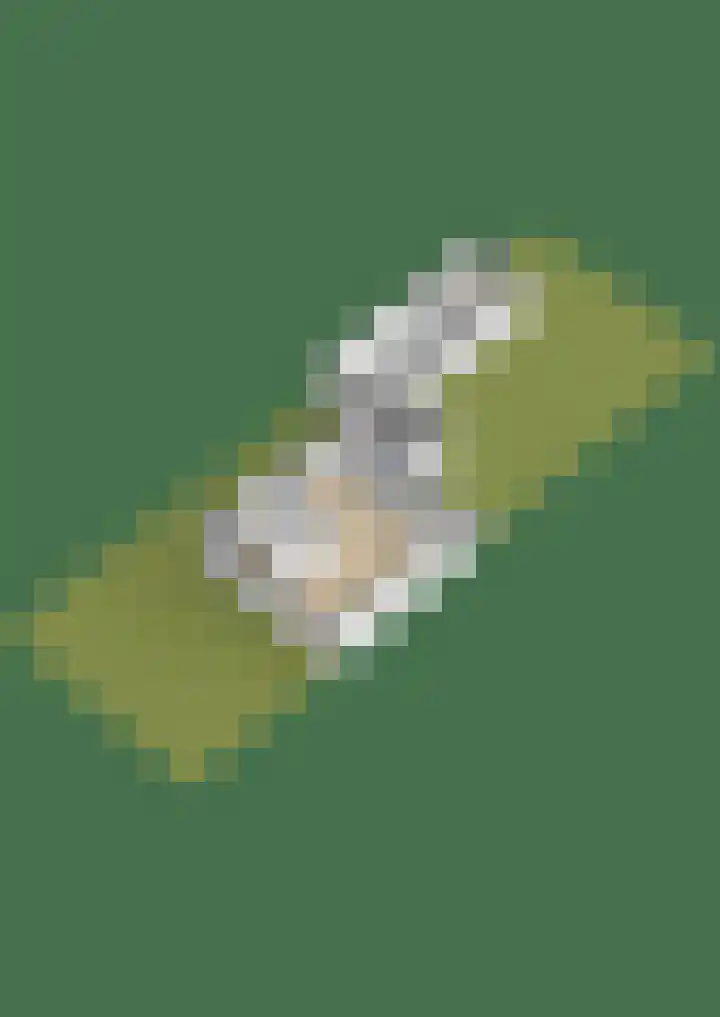 Statenlaan 12 Oosterhout thumbnail 45
