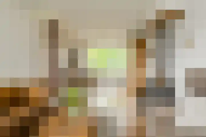 Statenlaan 12 Oosterhout thumbnail 6