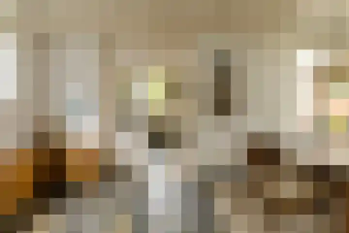 Statenlaan 12 Oosterhout thumbnail 8