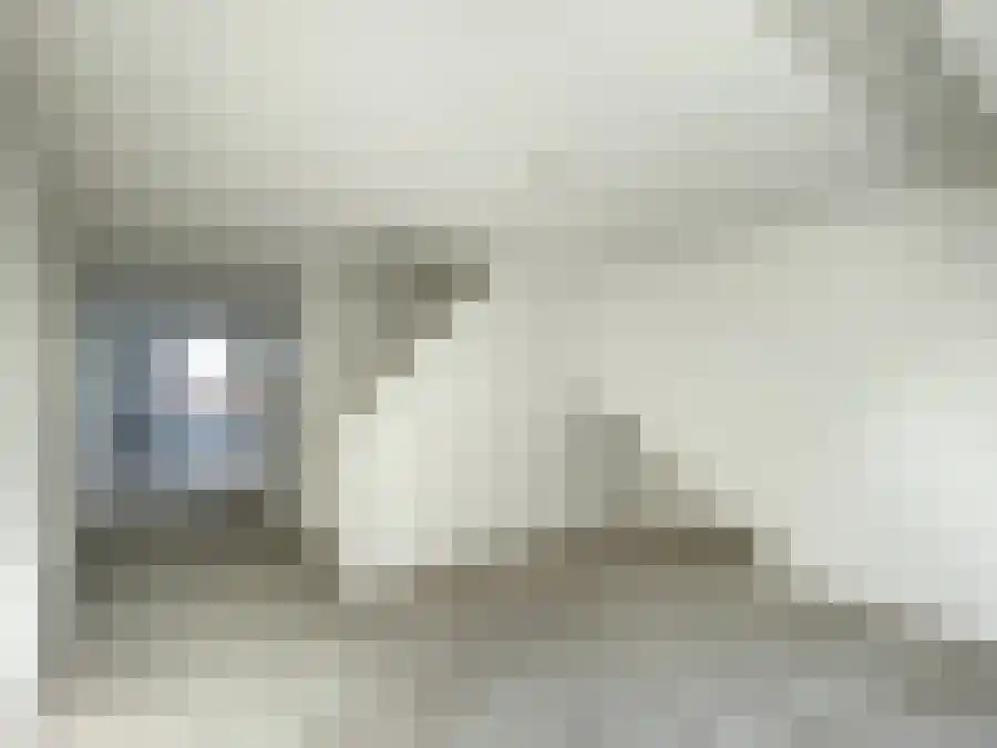 Statenlaan 12 Rotterdam thumbnail 5