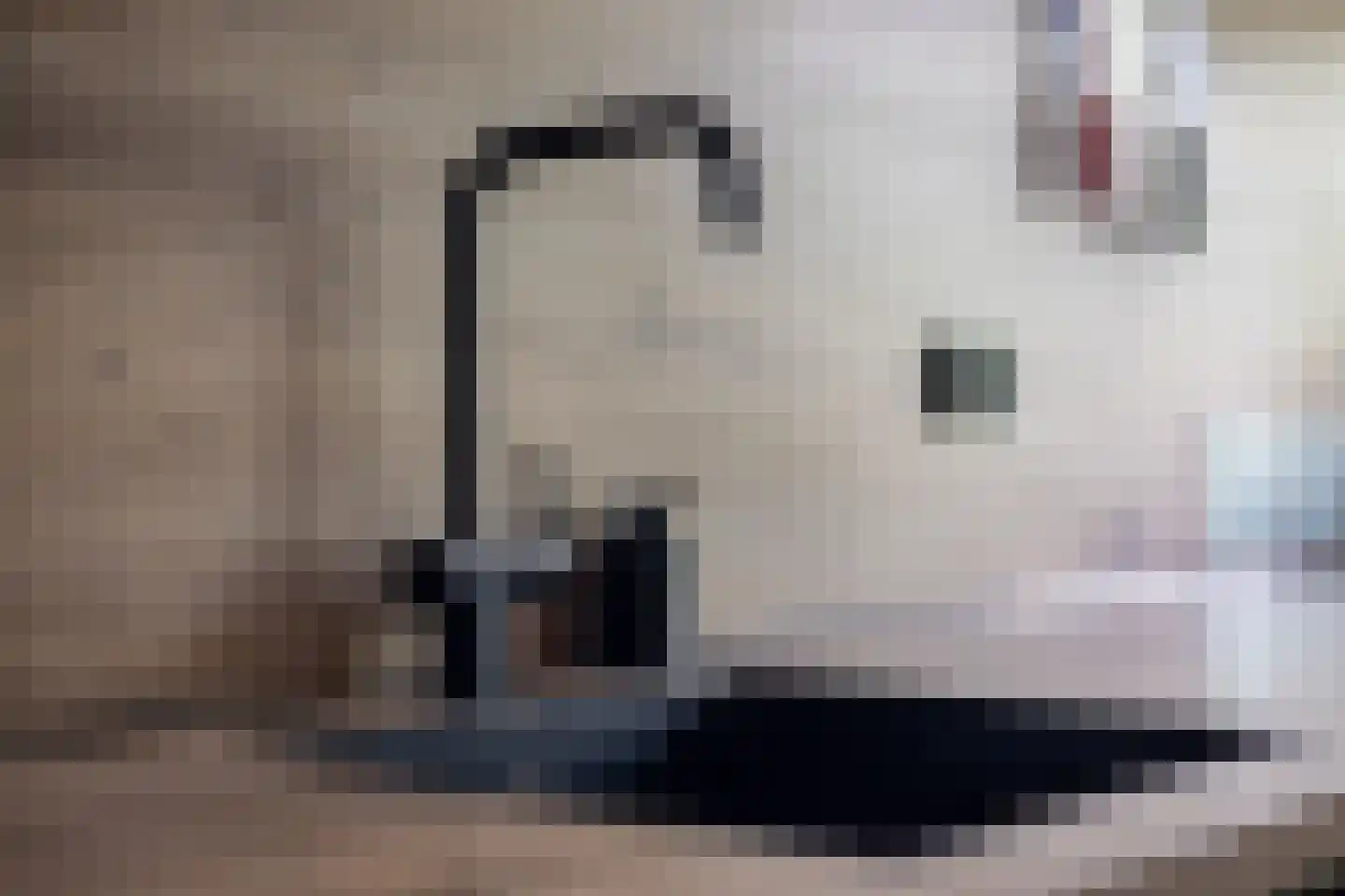 Statenlaan 124 Middelburg thumbnail 13
