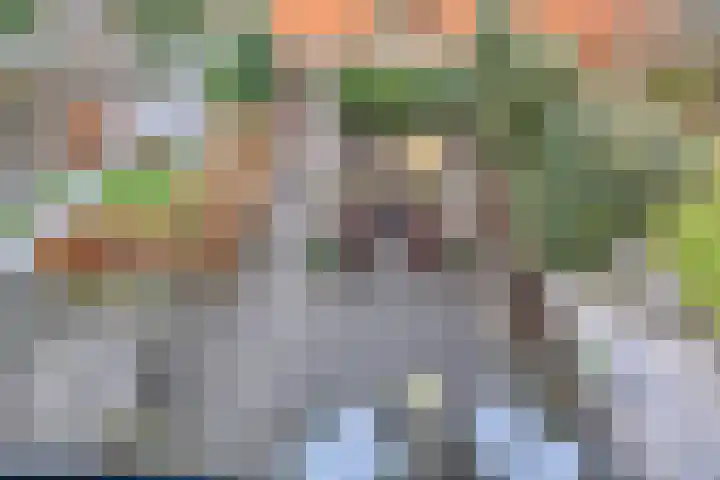 Statenlaan 13 Bodegraven thumbnail 16
