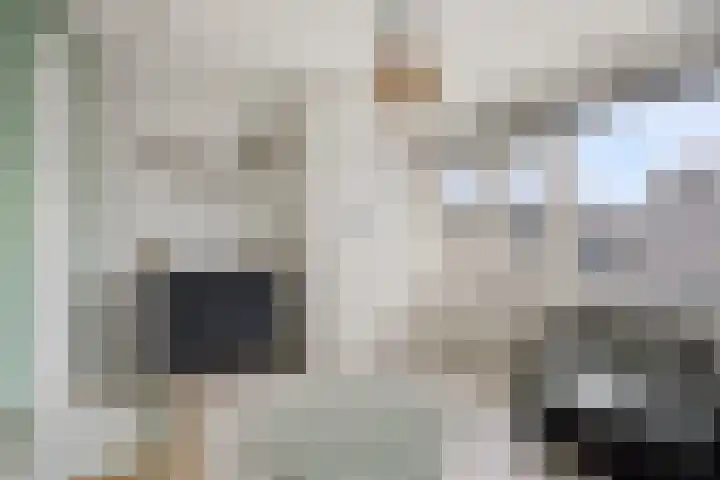 Statenlaan 13 Bodegraven thumbnail 18
