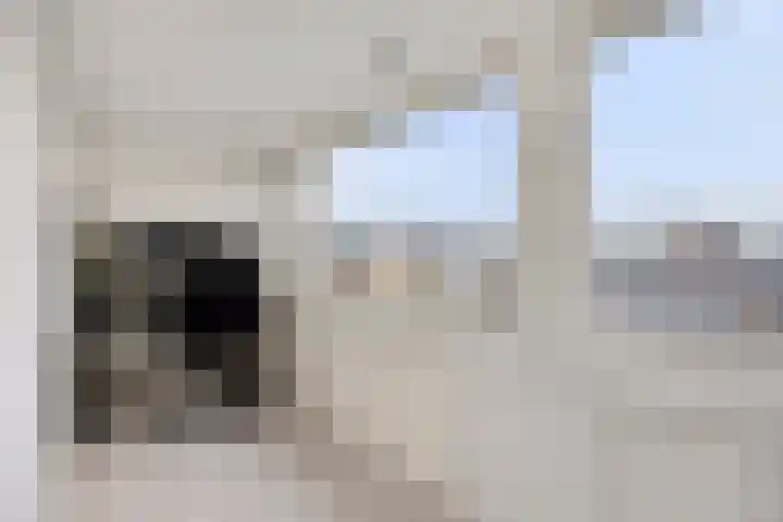Statenlaan 13 Bodegraven thumbnail 26