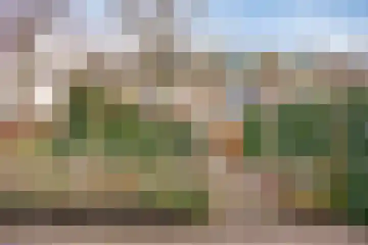 Statenlaan 13 Bodegraven thumbnail 27
