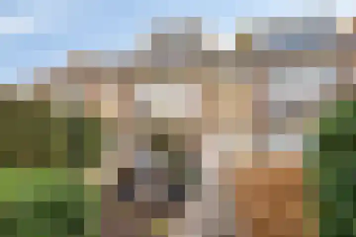 Statenlaan 13 Bodegraven thumbnail 29