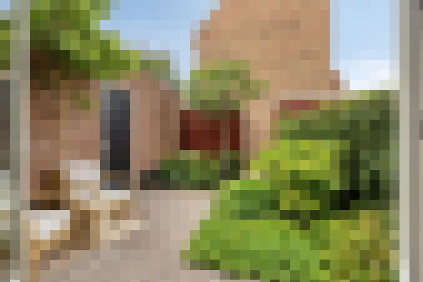 Statenlaan 131 Helmond thumbnail 56