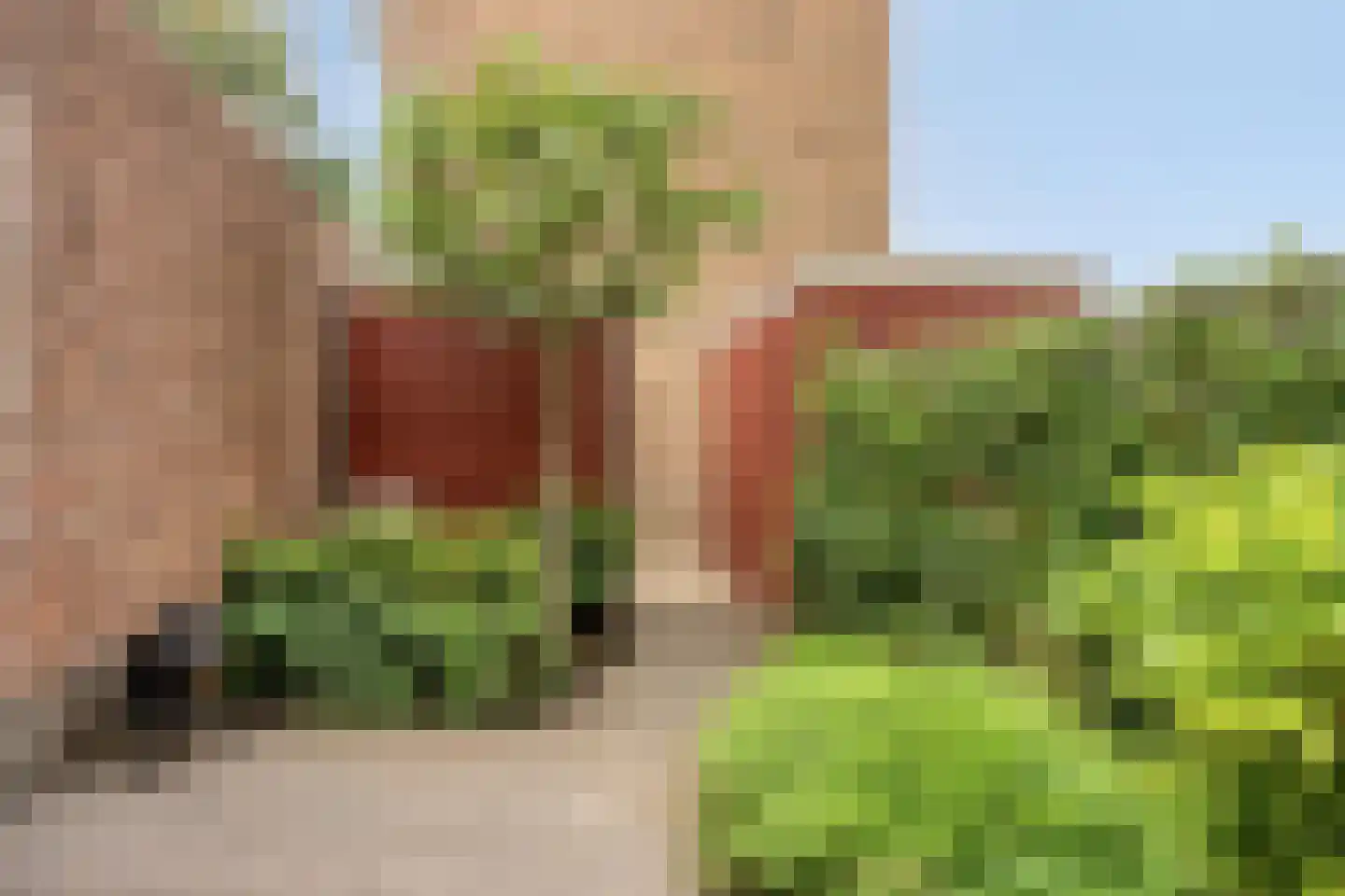 Statenlaan 131 Helmond thumbnail 58