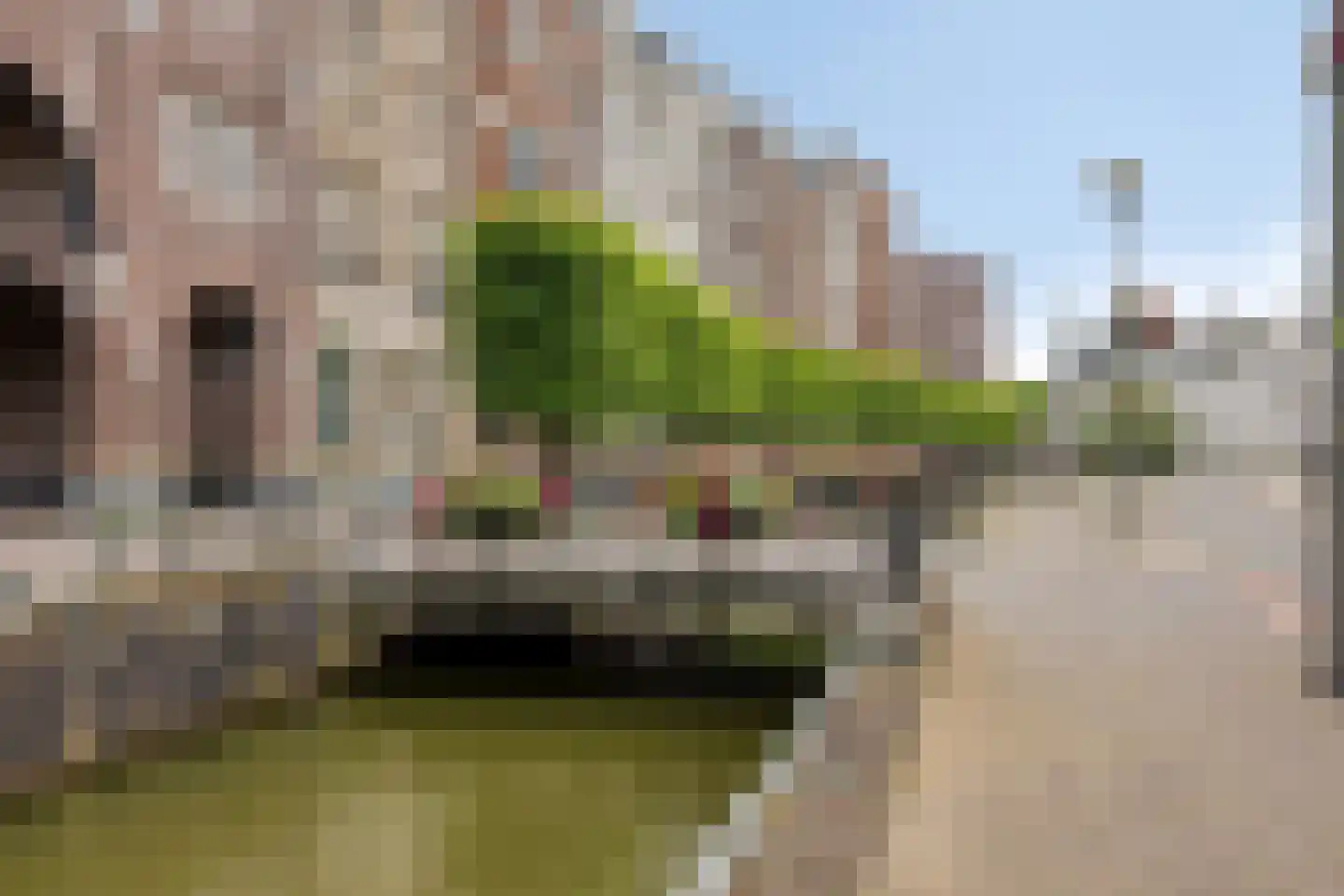 Statenlaan 131 Helmond thumbnail 69