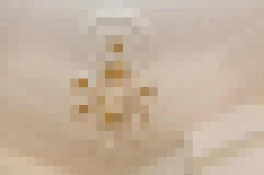 Statenlaan 133 Den Haag thumbnail 6