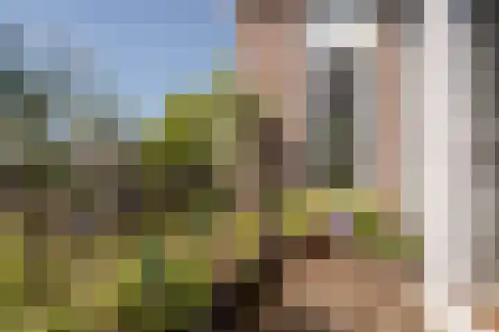 Statenlaan 134 B Den Haag thumbnail 13