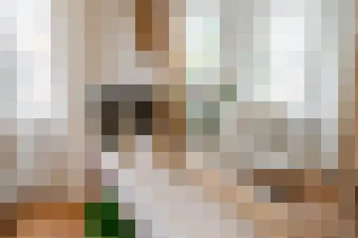 Statenlaan 134 B Den Haag thumbnail 22