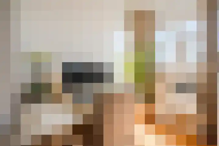 Statenlaan 134 B Den Haag thumbnail 28