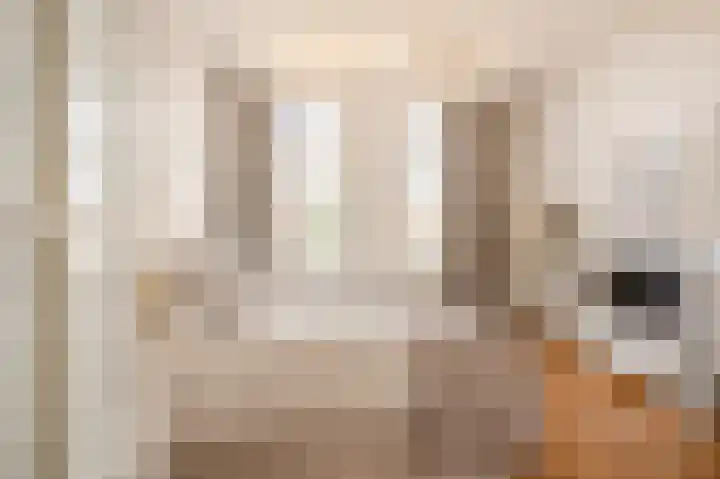 Statenlaan 134 B Den Haag thumbnail 38