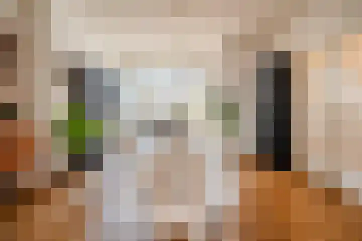 Statenlaan 134 B Den Haag thumbnail 5