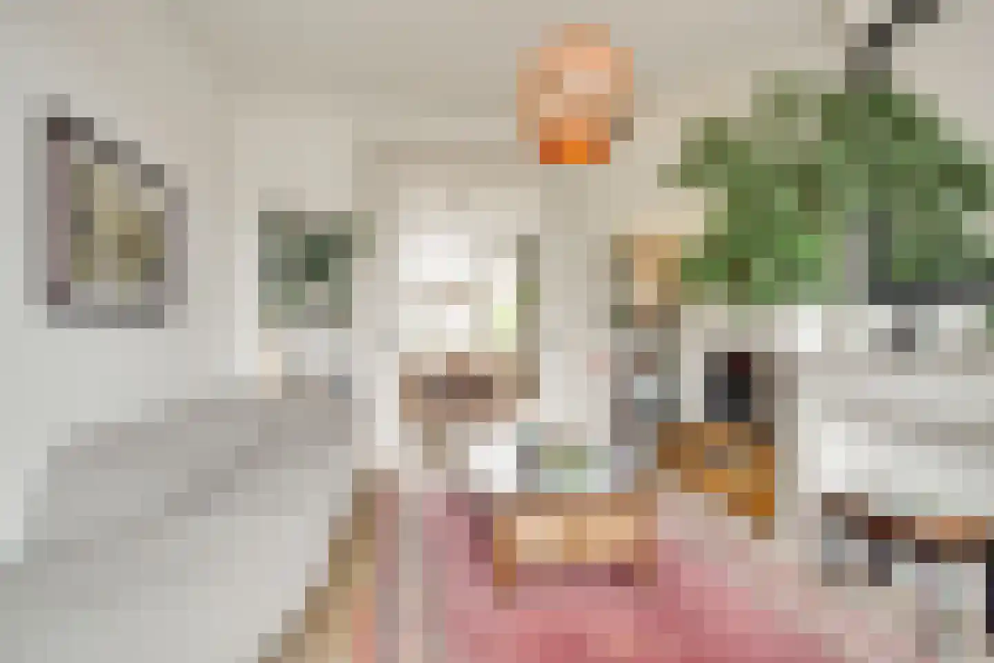 Statenlaan 146 Den Haag thumbnail 11