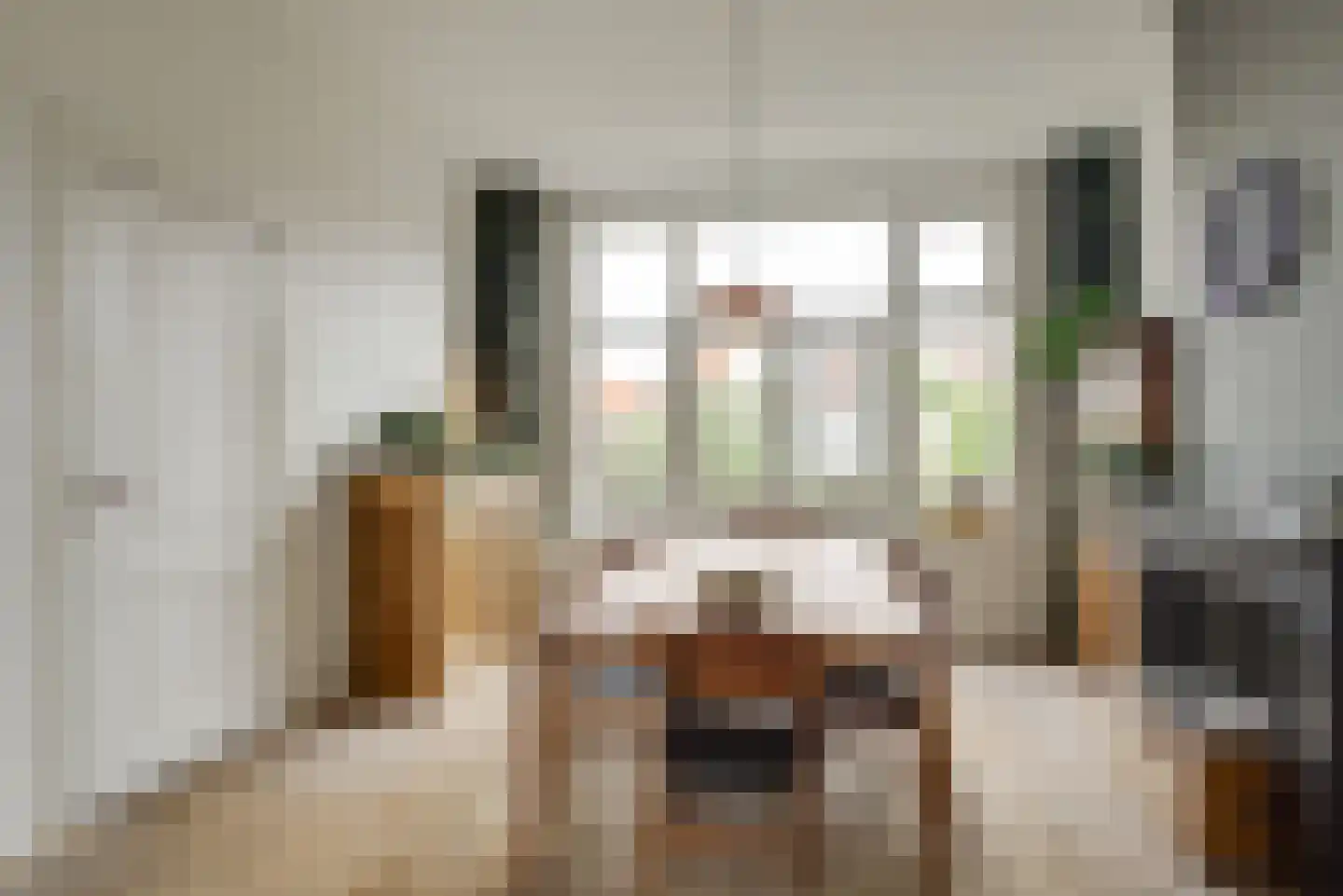 Statenlaan 146 Den Haag thumbnail 12