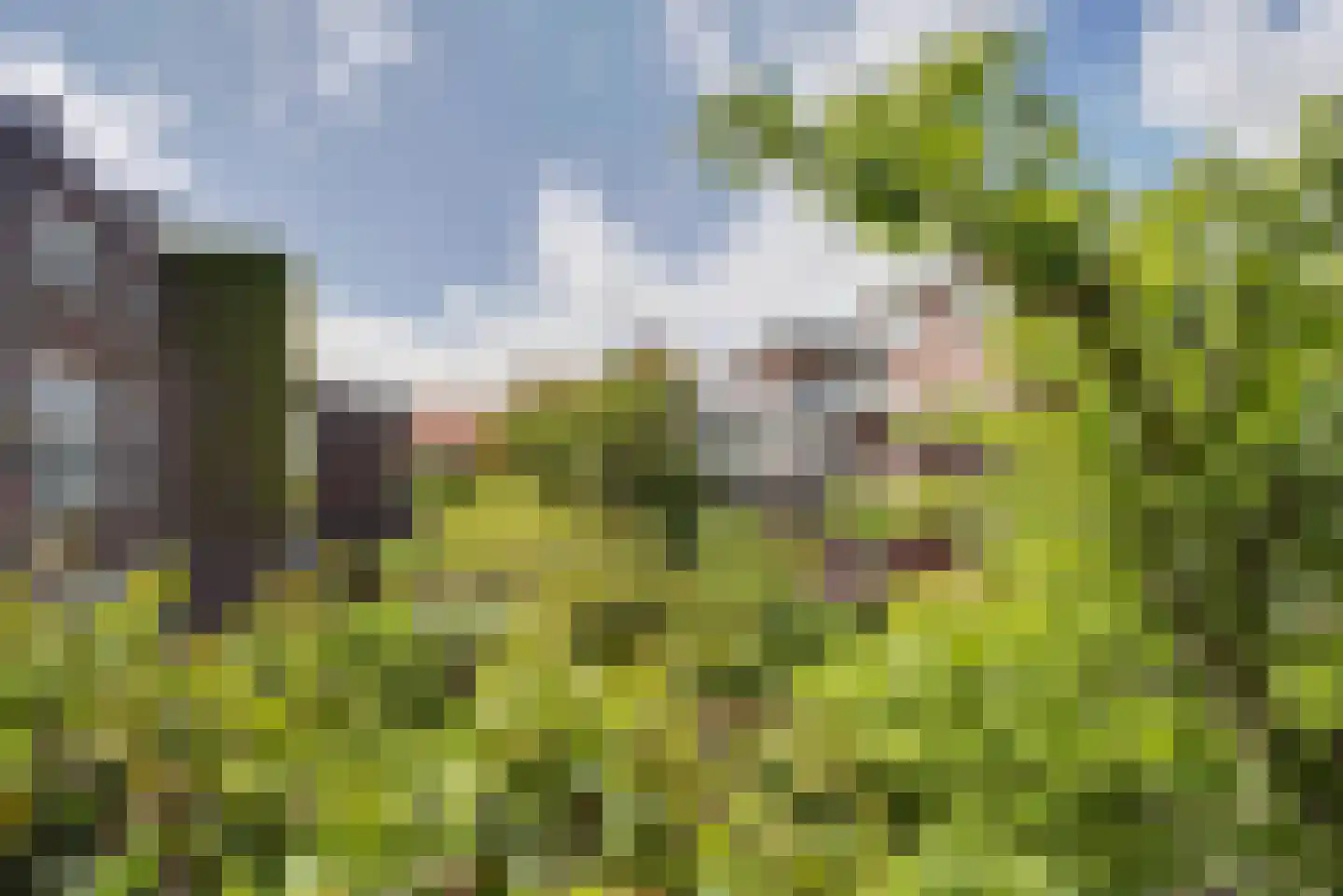 Statenlaan 146 Den Haag thumbnail 16