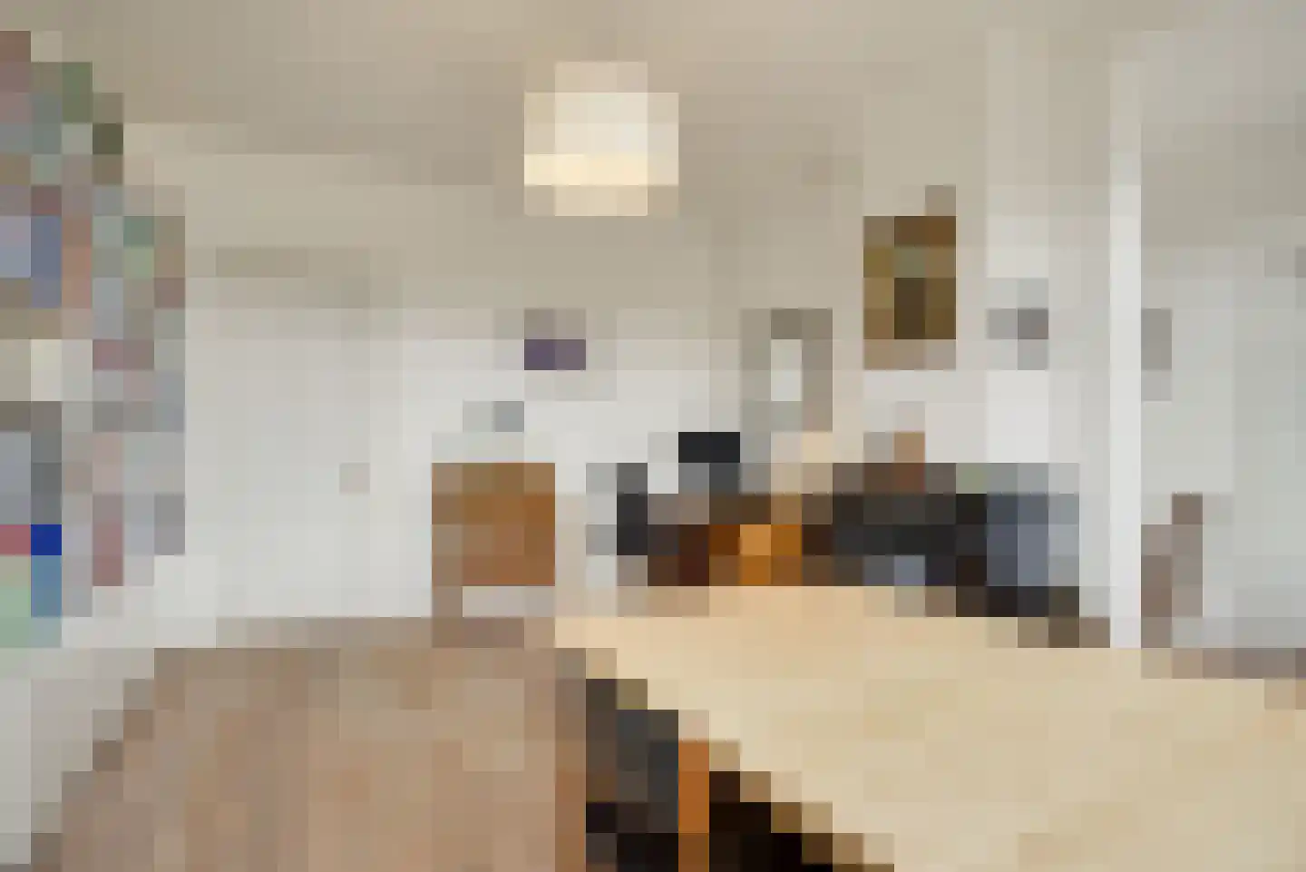 Statenlaan 146 Den Haag thumbnail 22