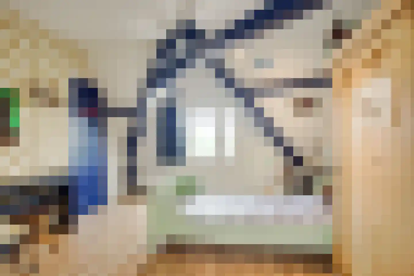 Statenlaan 146 Den Haag thumbnail 30