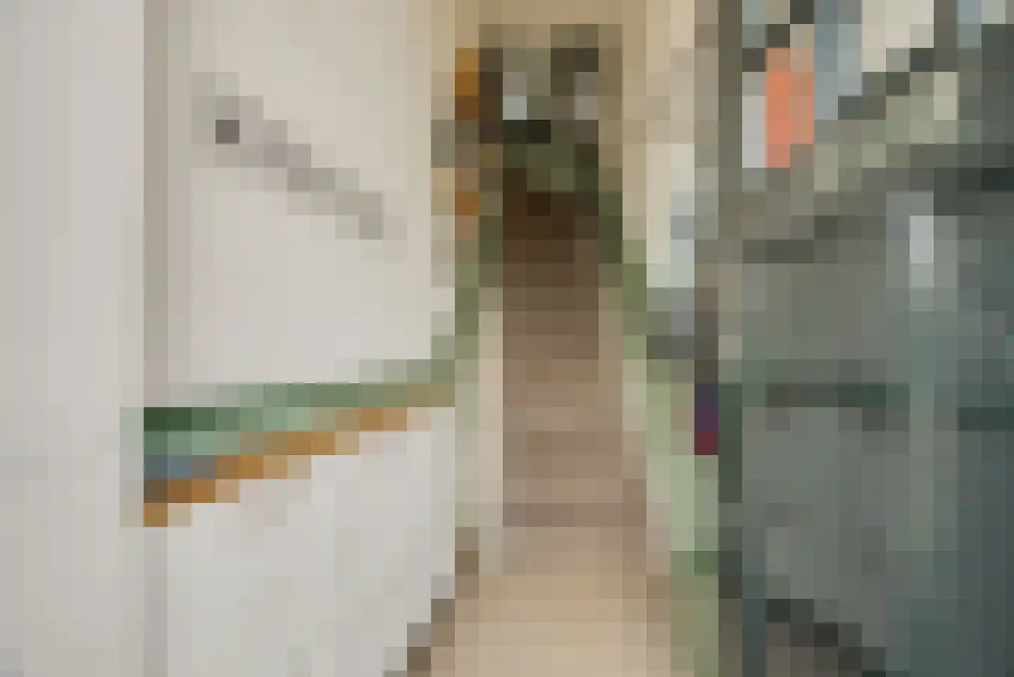 Statenlaan 146 Den Haag thumbnail 6