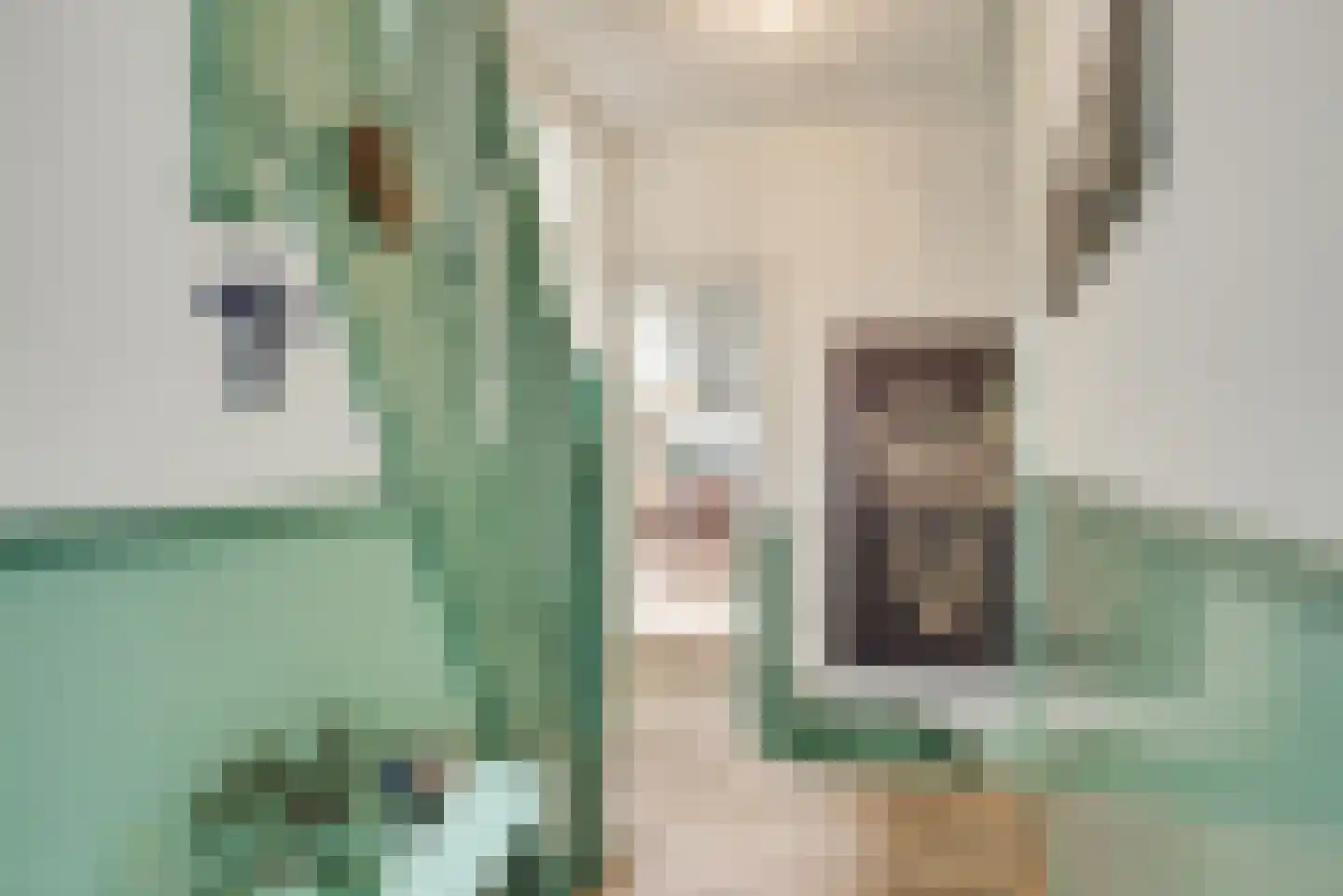 Statenlaan 146 Den Haag thumbnail 8