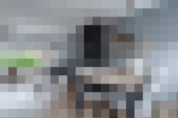 Statenlaan 15 Bodegraven thumbnail 17