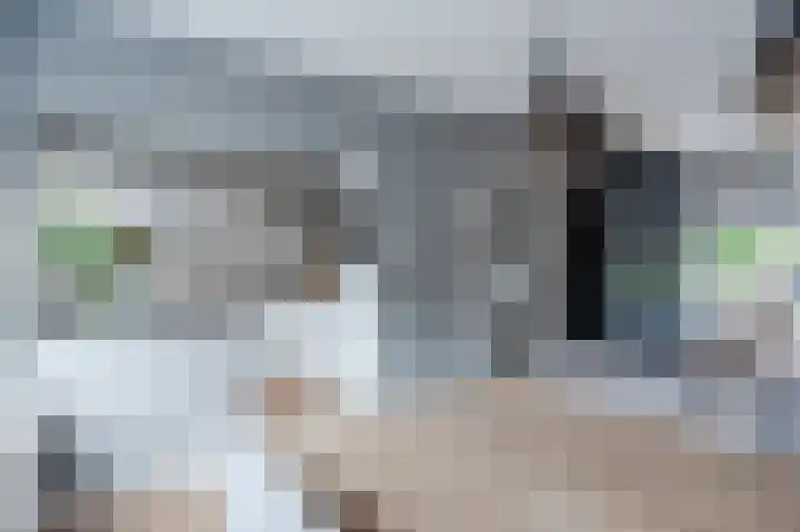 Statenlaan 15 Bodegraven thumbnail 19