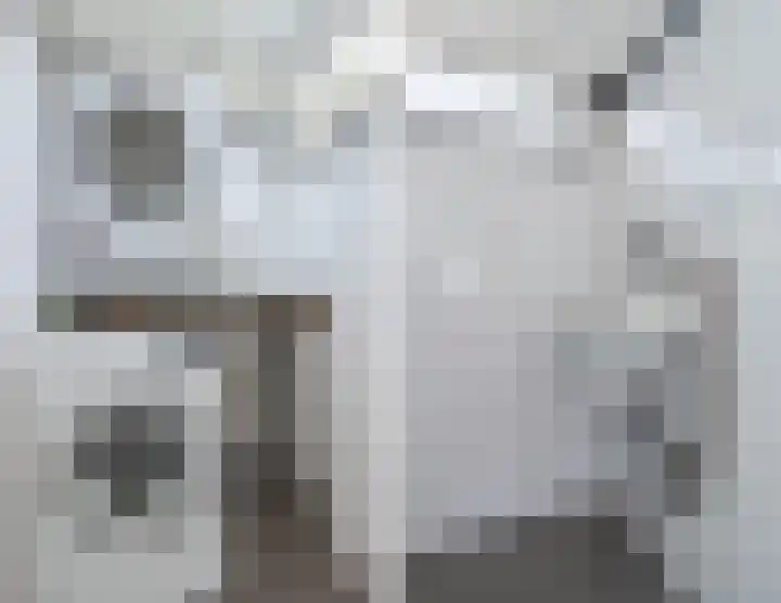 Statenlaan 15 Bodegraven thumbnail 29
