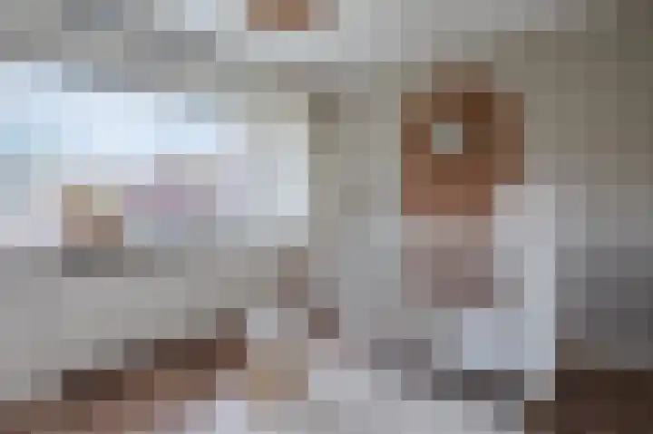 Statenlaan 15 Bodegraven thumbnail 31
