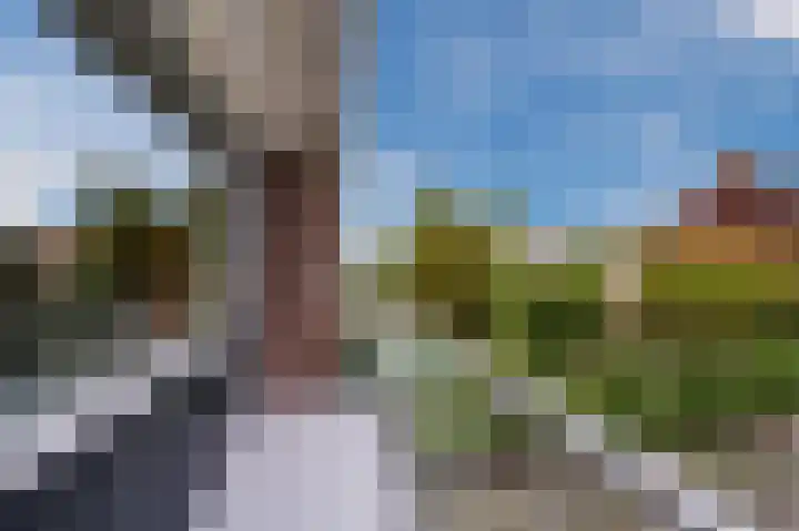 Statenlaan 15 Bodegraven thumbnail 32