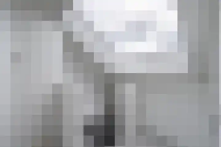 Statenlaan 15 Bodegraven thumbnail 41