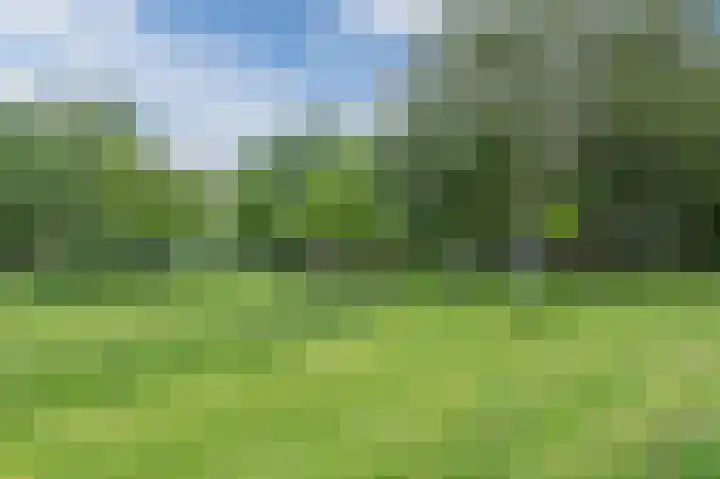 Statenlaan 15 Bodegraven thumbnail 57