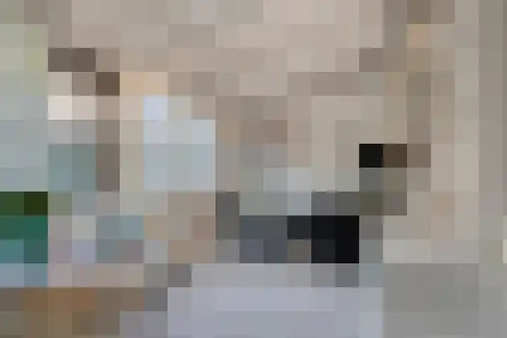 Statenlaan 154 Middelburg thumbnail 12