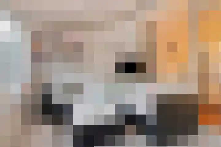 Statenlaan 154 Middelburg thumbnail 13