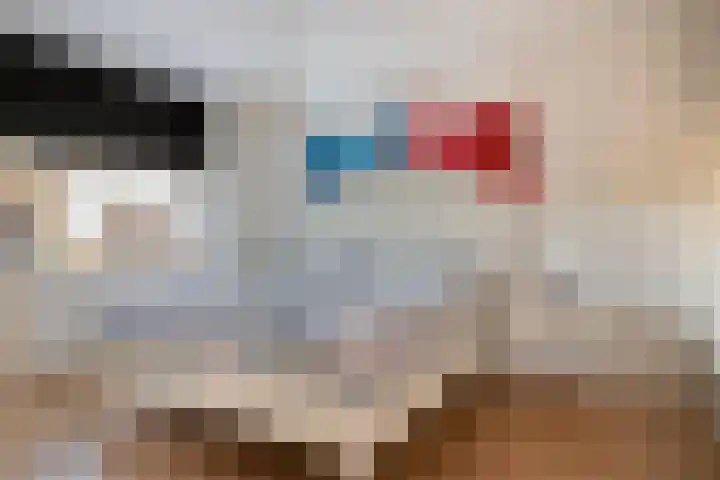 Statenlaan 154 Middelburg thumbnail 19