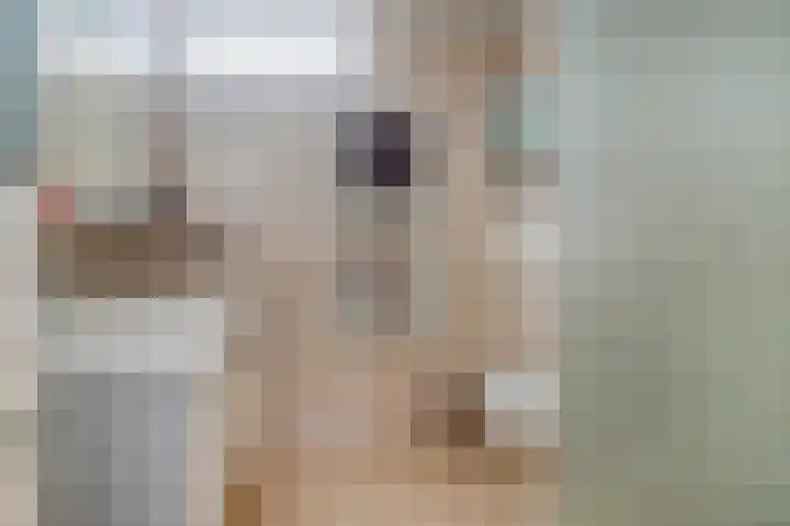 Statenlaan 154 Middelburg thumbnail 24