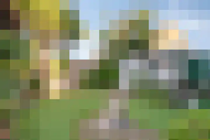 Statenlaan 154 Middelburg thumbnail 27